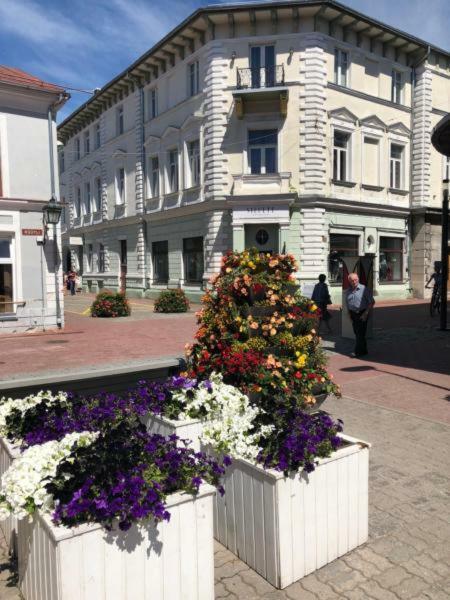 Old Town Apartment Παρνού Εξωτερικό φωτογραφία